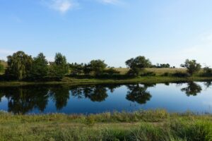 green grass field near lake under blue sky during daytime